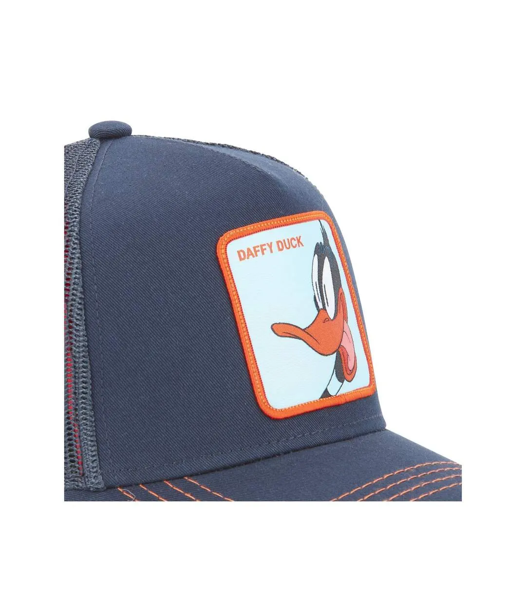 Casquette adulte Looney Tunes Daffy Capslab