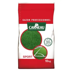 Gazon regarnissage pour gazon d'ornement - SEMENCE GAZON - TONDEOGREEN