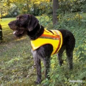 Gilet de signalisation et protection pour chien taille 1