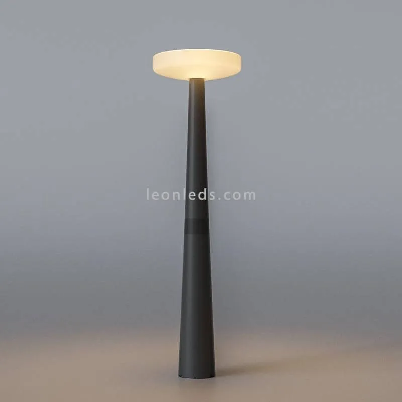 Lampadaire solaire avec capteur crépusculaire Paquita | LeonLeds.com